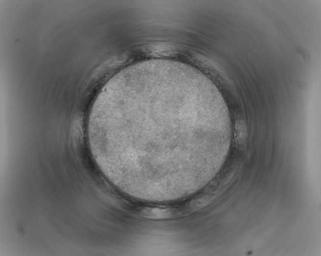 X0000112960506200910081049