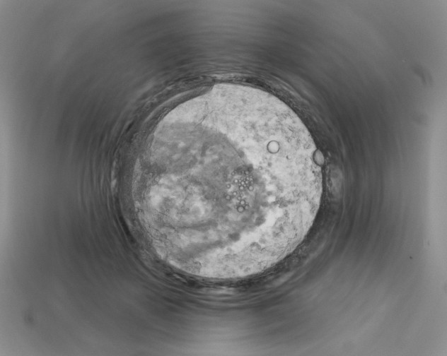 X0000112960507200910081049