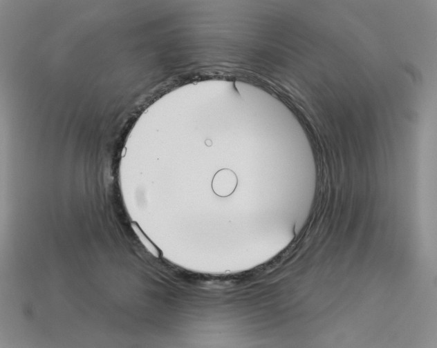 X0000112960508200910081049