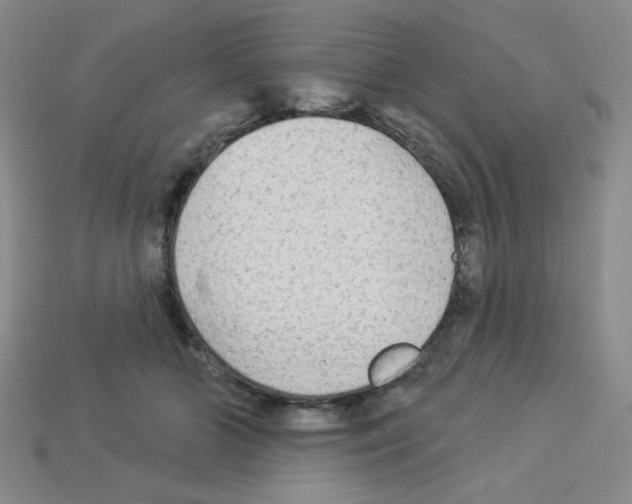 X0000112960510200910081048