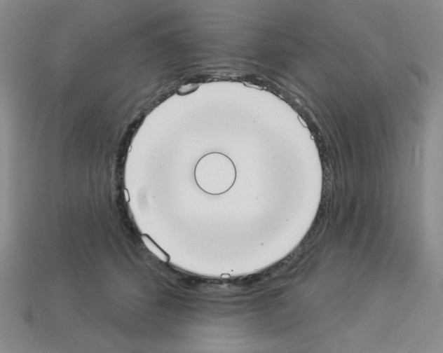 X0000112960512200910081048