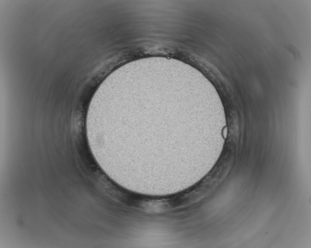 X0000112960513200910081048