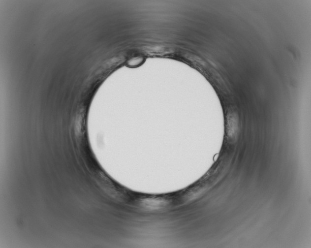 X0000112960515200910081048