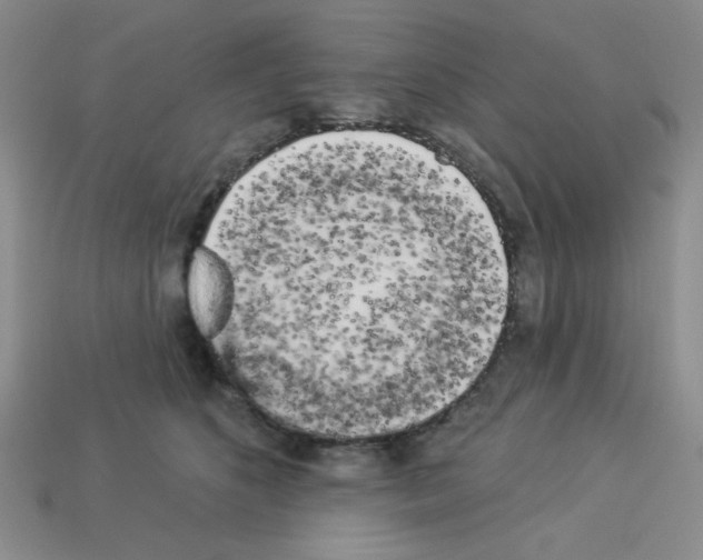 X0000112960516200910081048