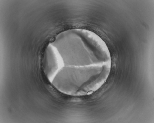 X0000112960519200910081048