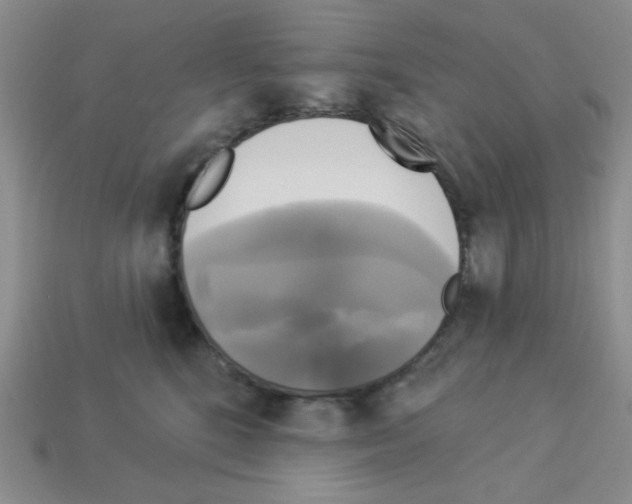 X0000112960520200910081048