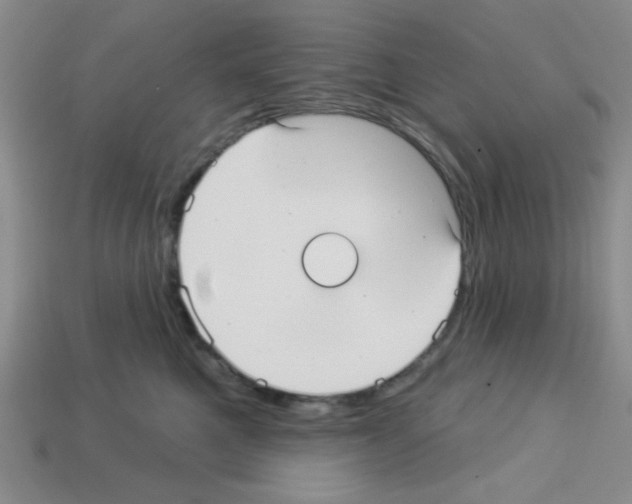 X0000112960521200910081048