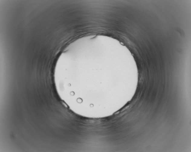 X0000112960524200910081048