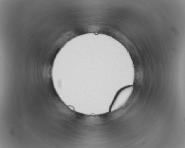 X0000112960525200910081048