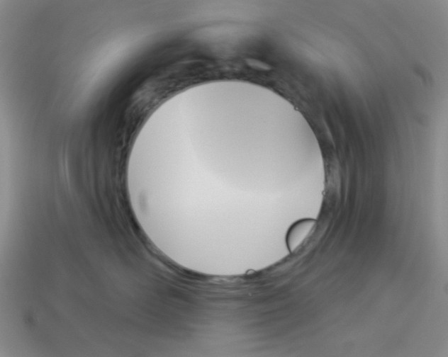 X0000112960526200910081048