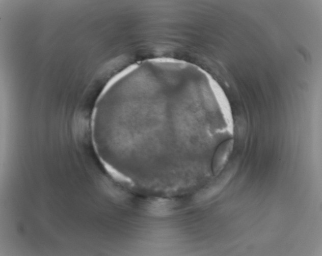 X0000112960527200910081048