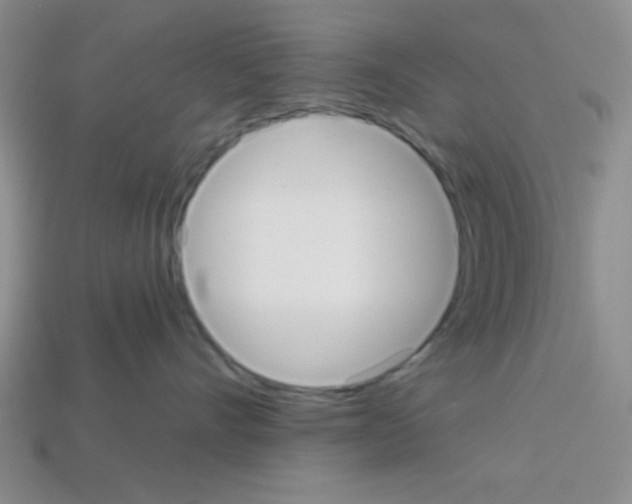 X0000112960528200910081048