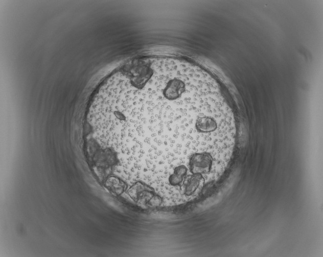 X0000112960529200910081048