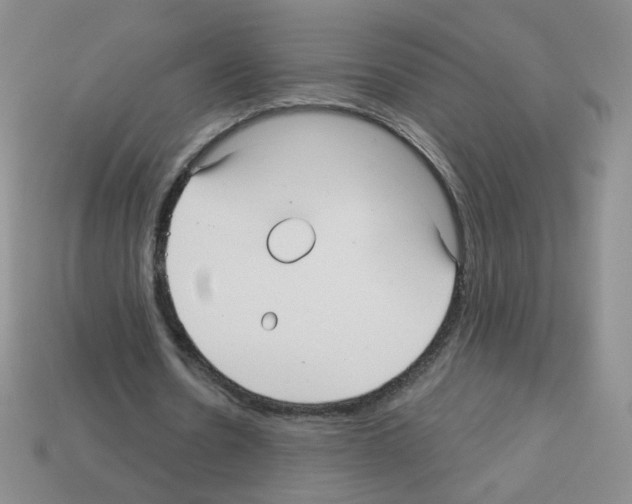 X0000112960530200910081048