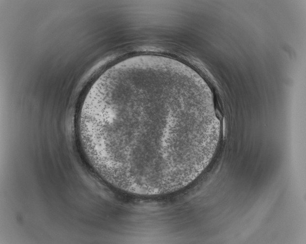 X0000112960531200910081048