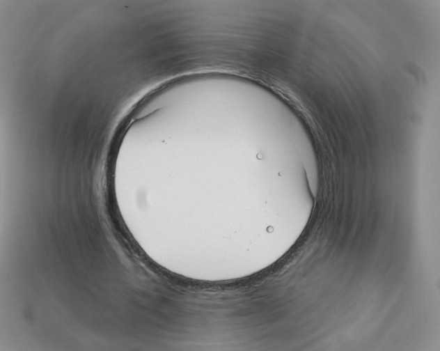 X0000112960532200910081048