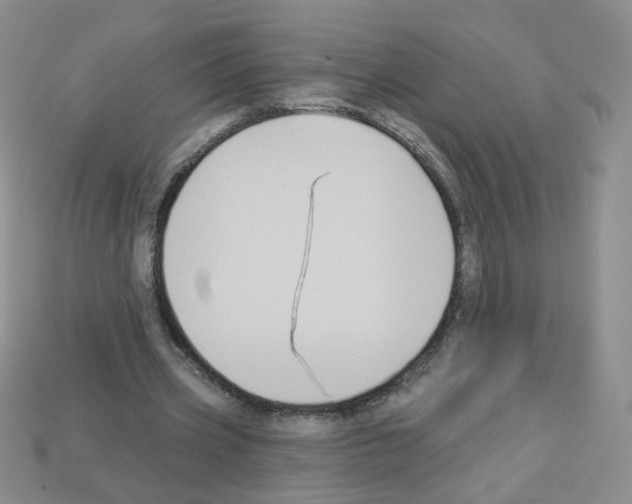 X0000112960533200910081048