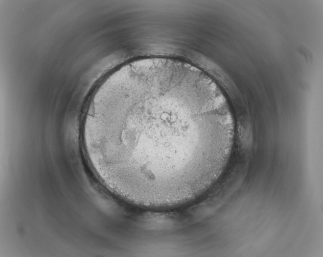 X0000112960534200910081048