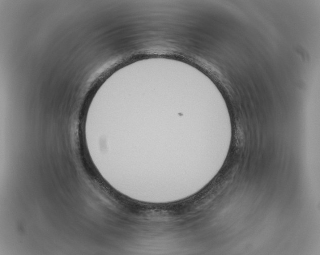 X0000112960535200910081048