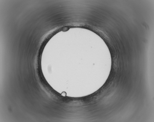 X0000112960536200910081048