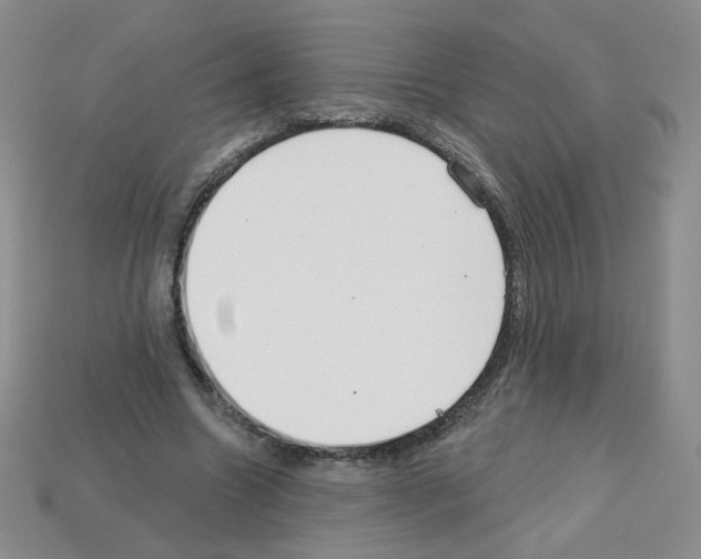 X0000112960538200910081048