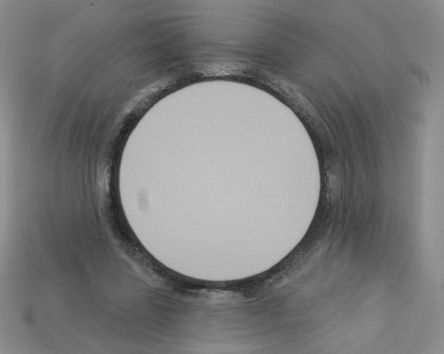 X0000112960539200910081048