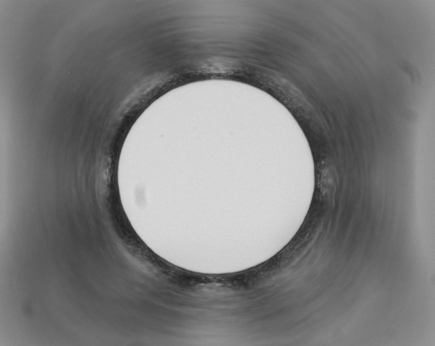 X0000112960544200910081048