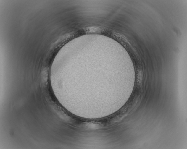 X0000112960545200910081048