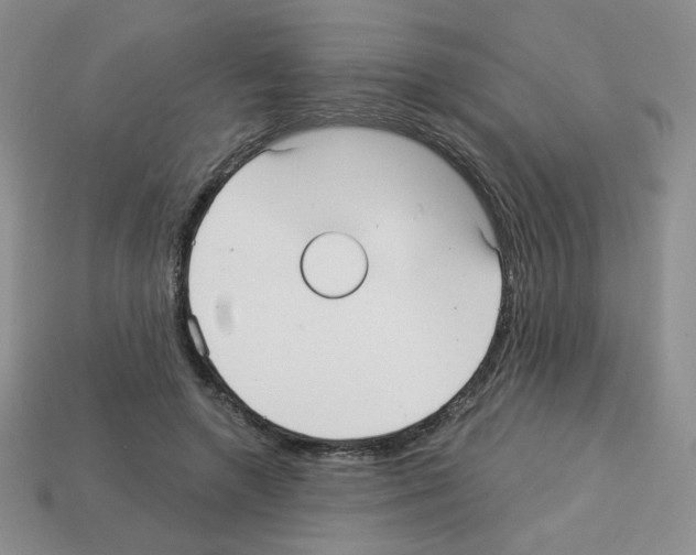 X0000112960546200910081048