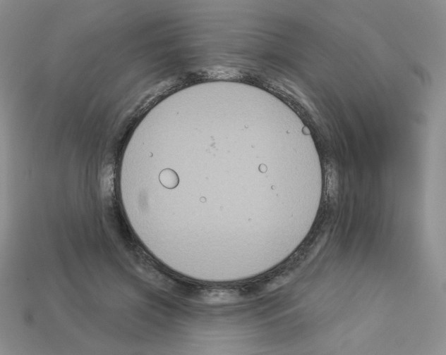 X0000112960549200910081048