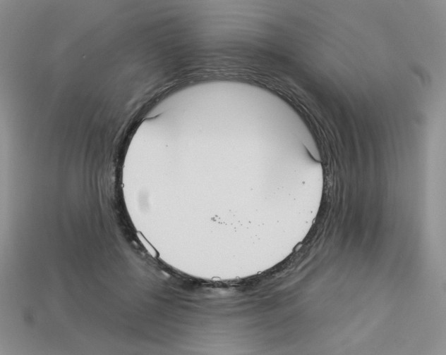 X0000112960552200910081048