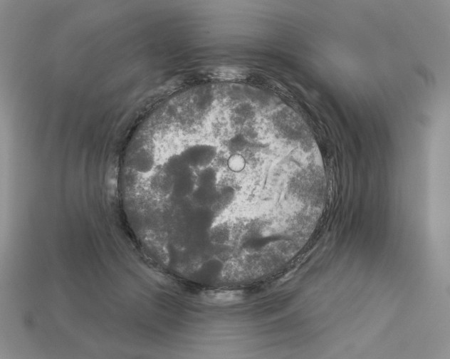 X0000112960553200910081048