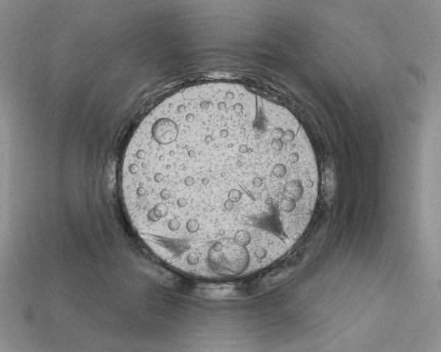 X0000112960554200910081048