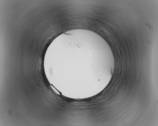 X0000112960556200910081048