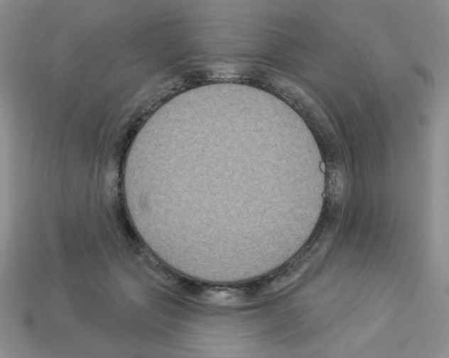 X0000112960557200910081048