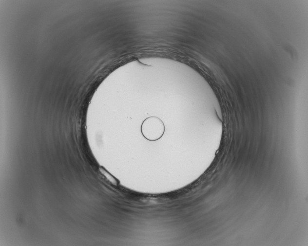 X0000112960558200910081048