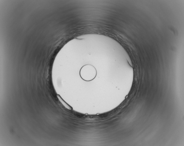 X0000112960560200910081048