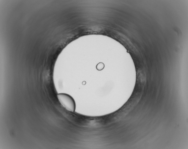 X0000112960564200910081048