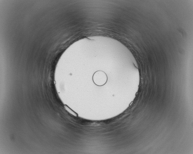 X0000112960566200910081048