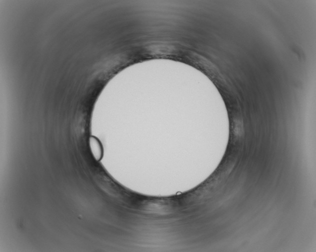 X0000112960567200910081048