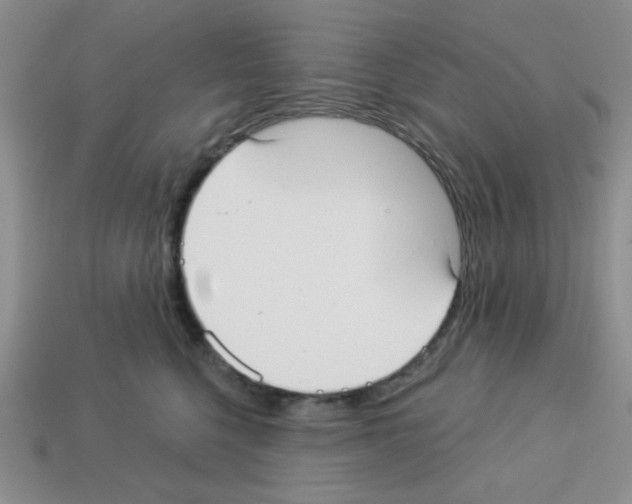 X0000112960568200910081048