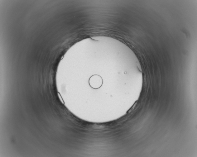 X0000112960570200910081048