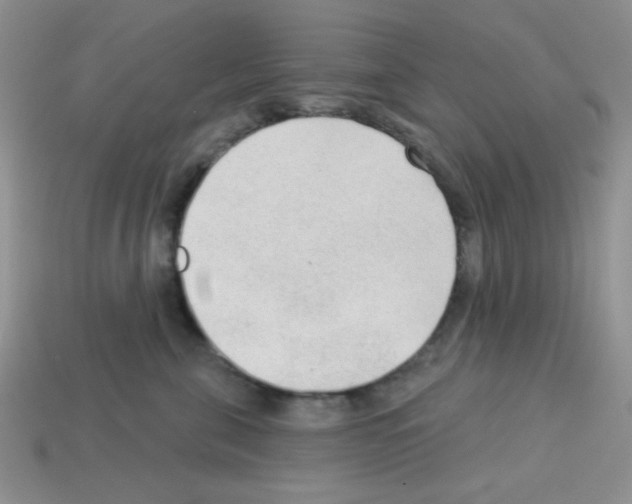 X0000112960571200910081048