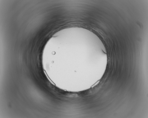 X0000112960572200910081048