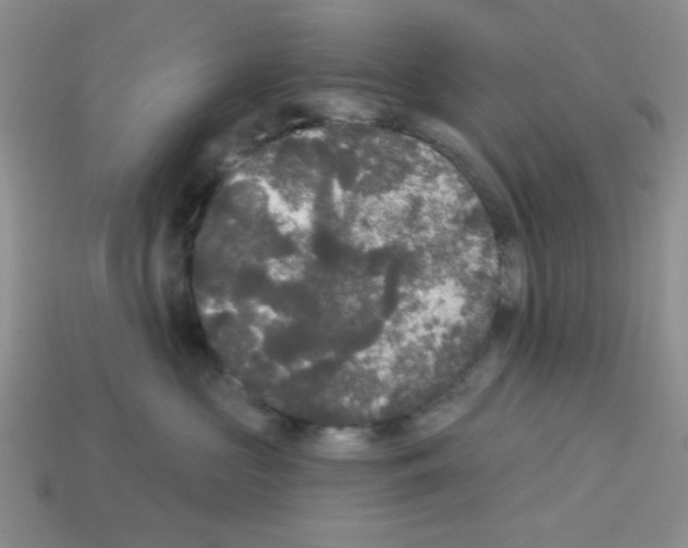 X0000112960573200910081048