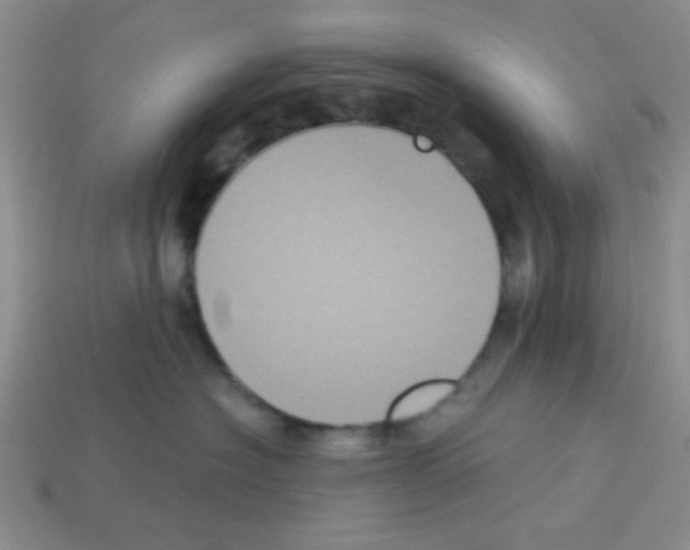 X0000112960574200910081048