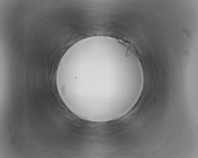 X0000112960576200910081048