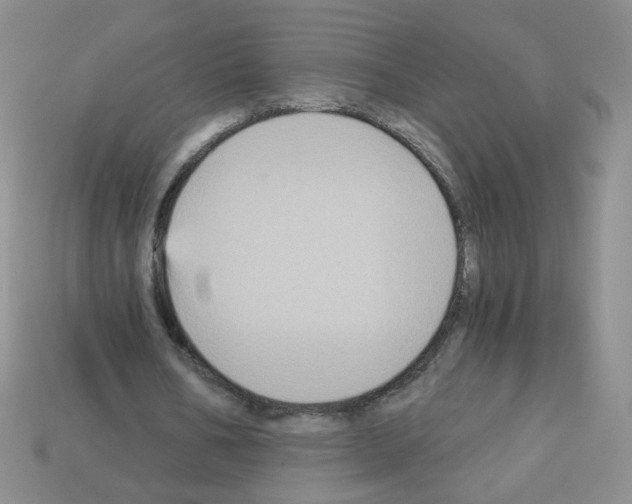 X0000112960578200910081048