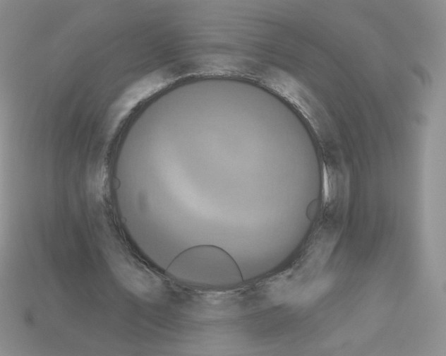 X0000112960579200910081048