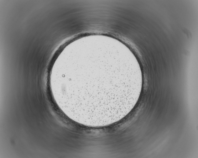 X0000112960580200910081048